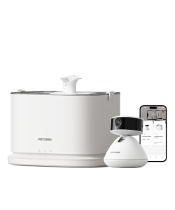 Scout Smart Camera & Dockstream 2 Smart Fountain - Black / Cordless