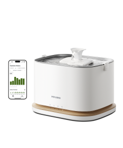 Dockstream 2 Smart Fountain - Dockstream 2 & 8 Filters / Cordless / Black