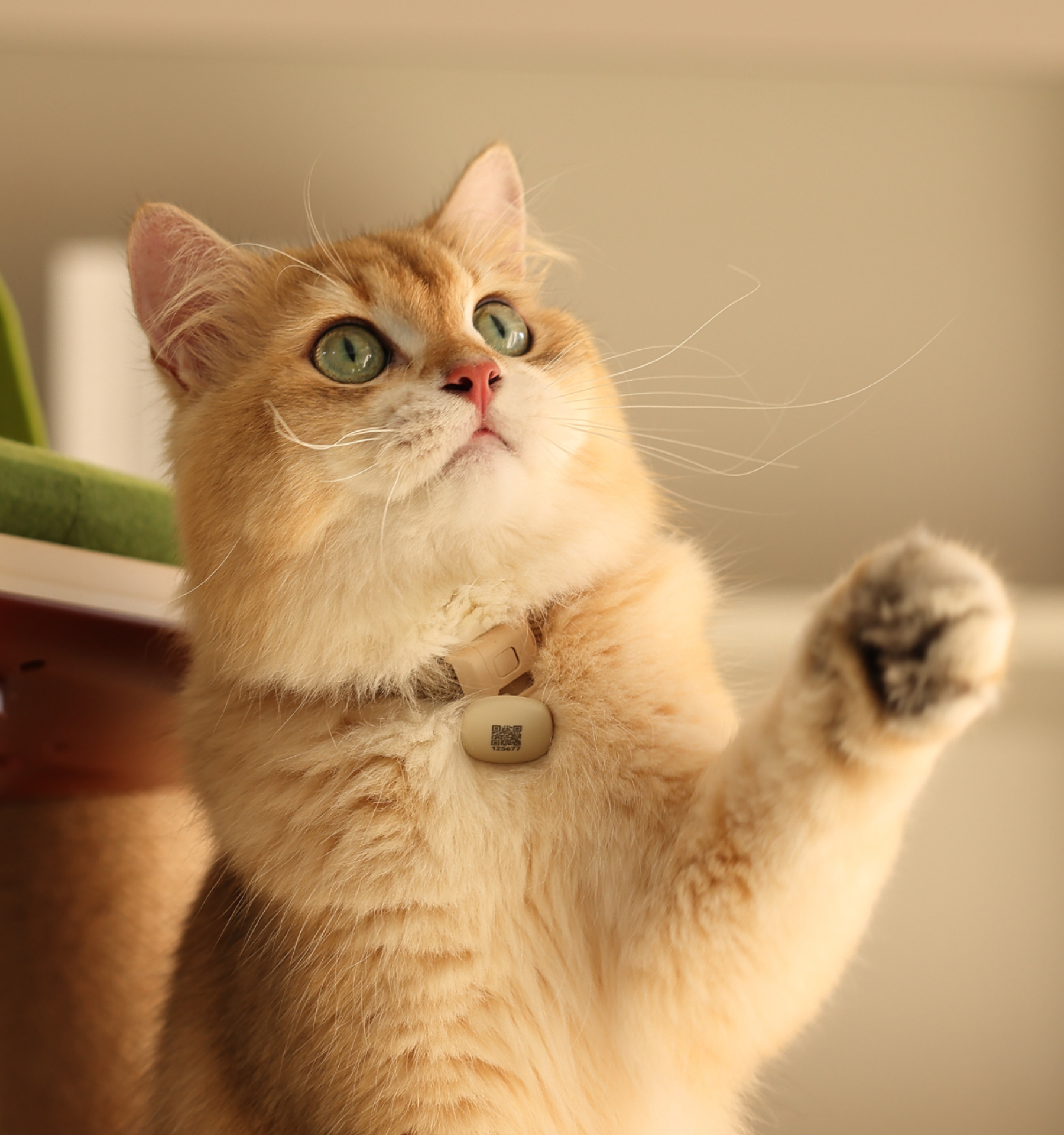 lifestyle_5acb6fc9-eeb7-45aa-bd87-eb3216f32e53.png